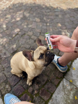 Poultry & Pineapple 4-pack