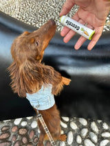 Poultry & Carrot 4-pack